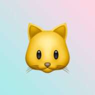 KOT