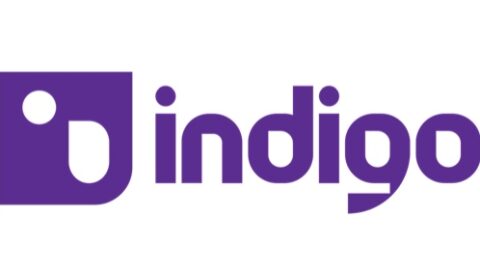 Indigo