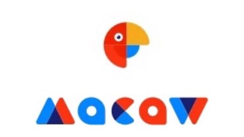 Macaw